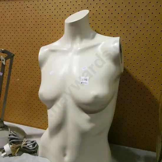 female shop torso H-550