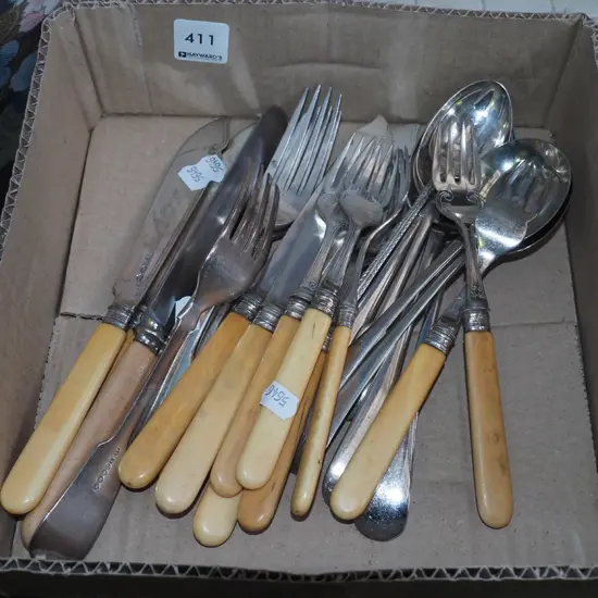 box; spoons, bone handled fish set