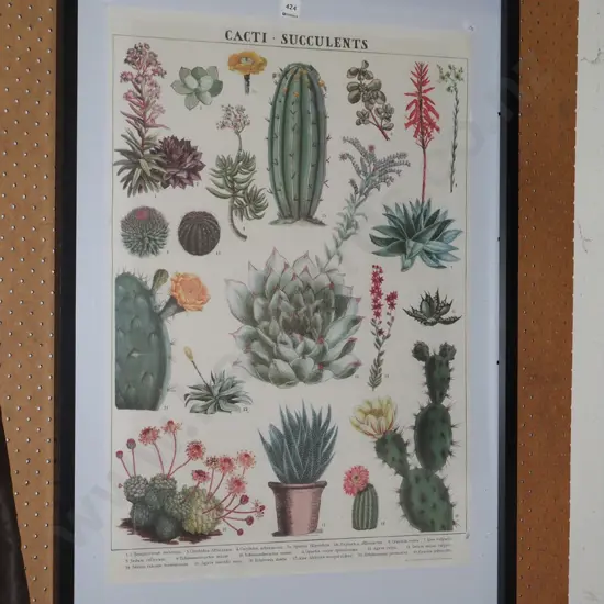 cacti, succulents print in poster frame
