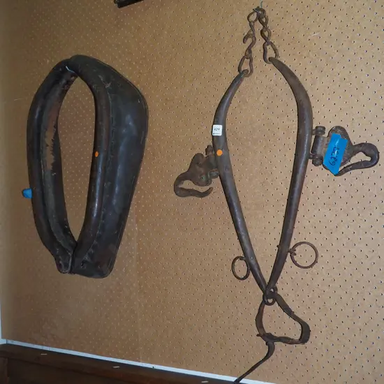 vintage leather horse collar and haines - orange dots