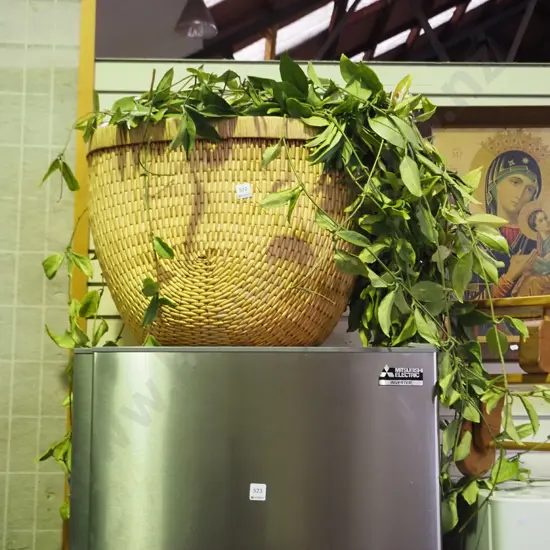 large hoya carnosa in cane basket Basket H-400