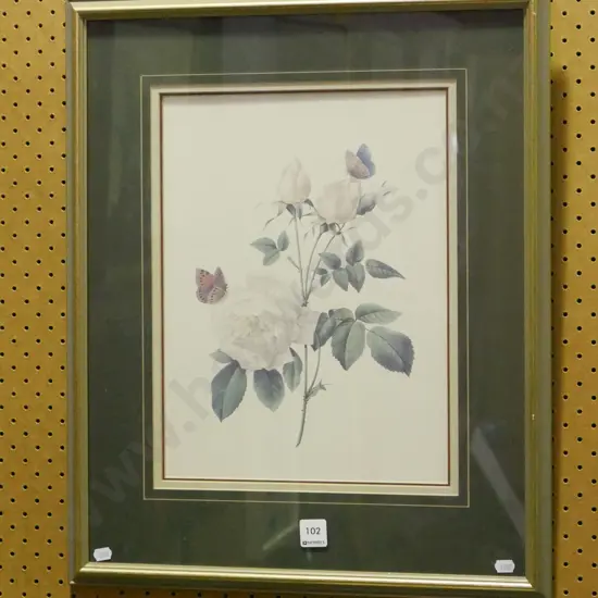 framed print - white rose and butterflies