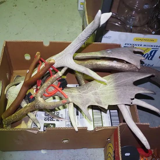box of antlers, 2 wooden slingshots