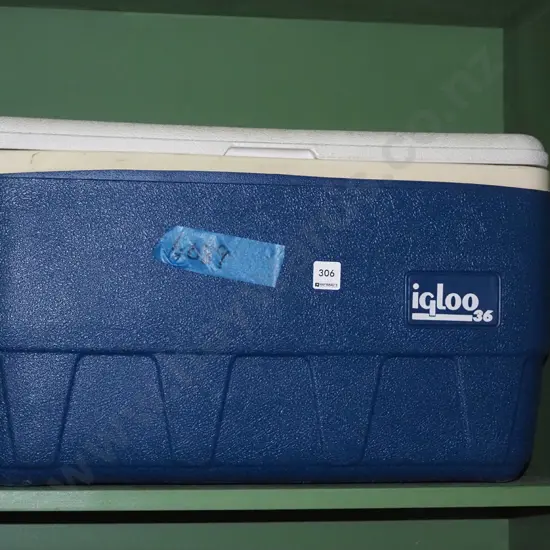 Igloo 36 chilly bin