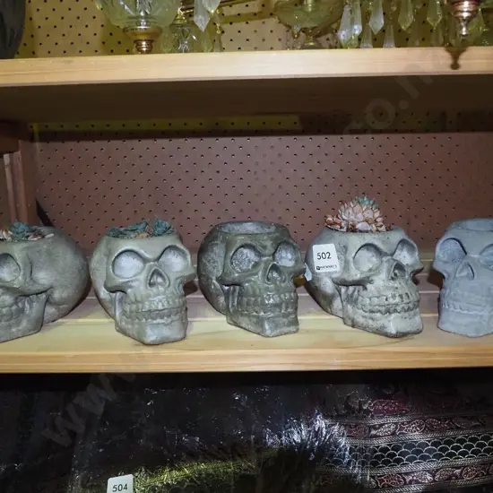 5 skull themed planters - 3 with succulents