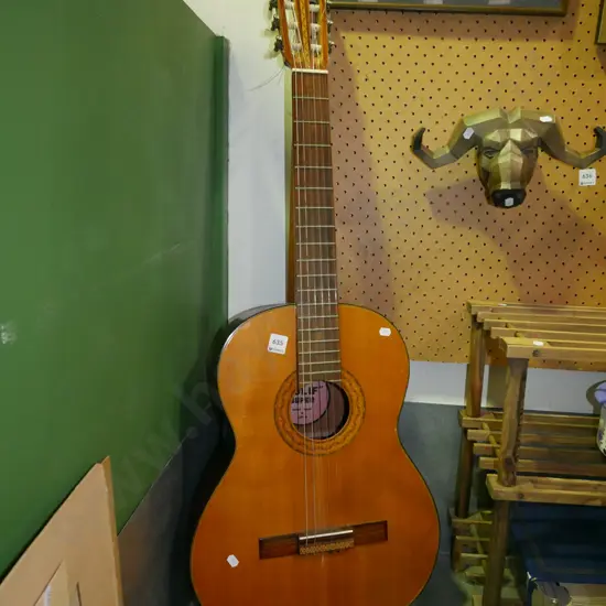 acoustic guitar