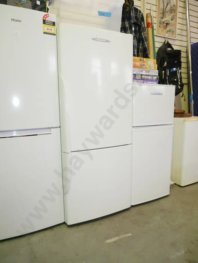 F&P fridge freezer - some yellowing to interior - needs a clean H-1600 W-650 D-670 Image 1++