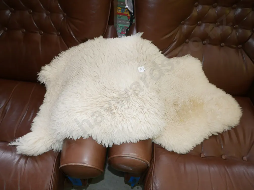 sheepskin Image 1++