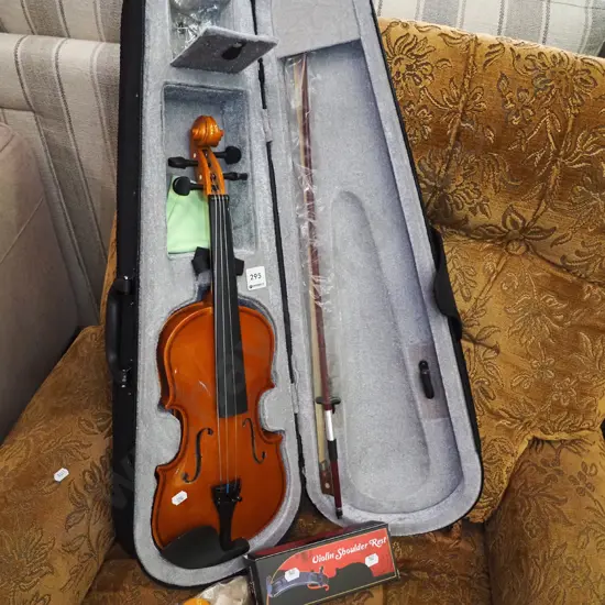 cased violin and bow