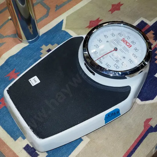 Seca bathroom scales