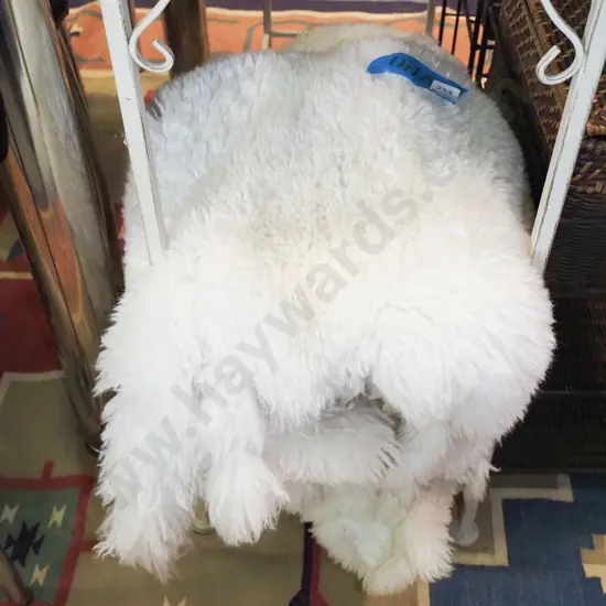 2 white sheepskins