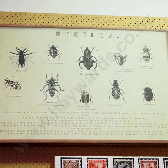 framed Beatles print on canvas