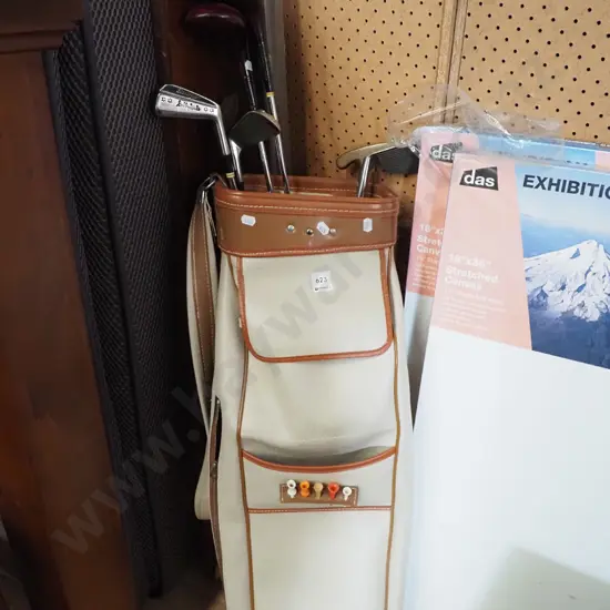 golf bag and clubs