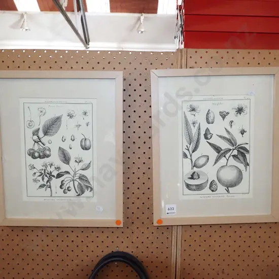 2x framed botanical prints
