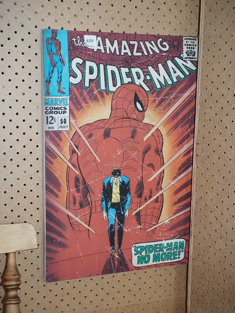 Spiderman print on boxed canvas Image 1++