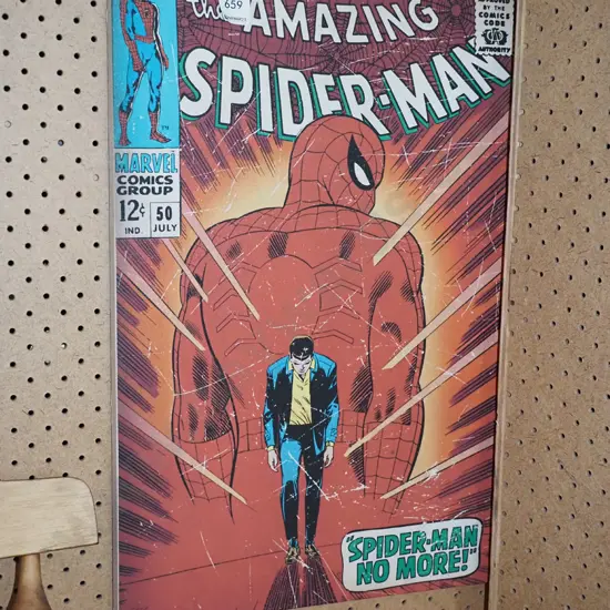 Spiderman print on boxed canvas
