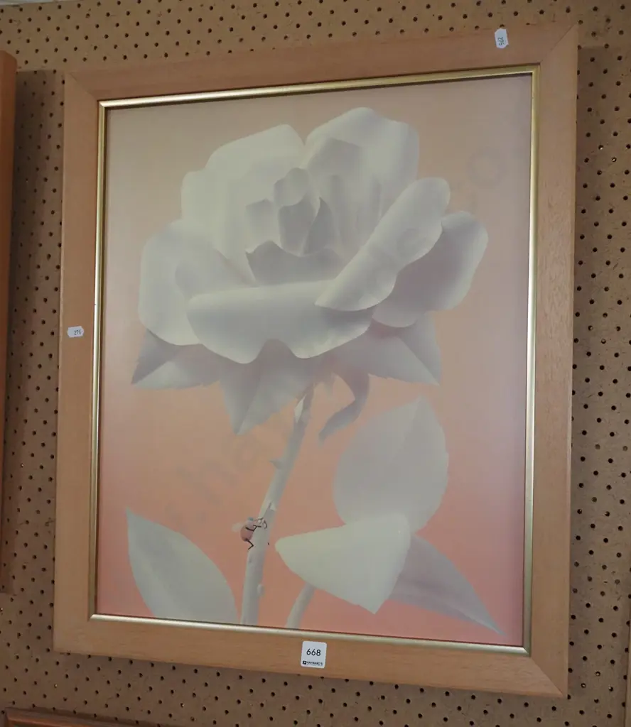 framed print - aphid and white rose Image 1++
