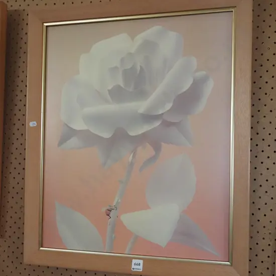 framed print - aphid and white rose