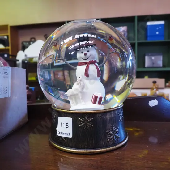 illuminated snow globe