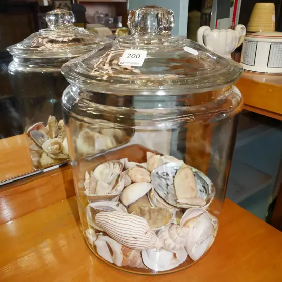 large glass lidded jar with seashells H-330
