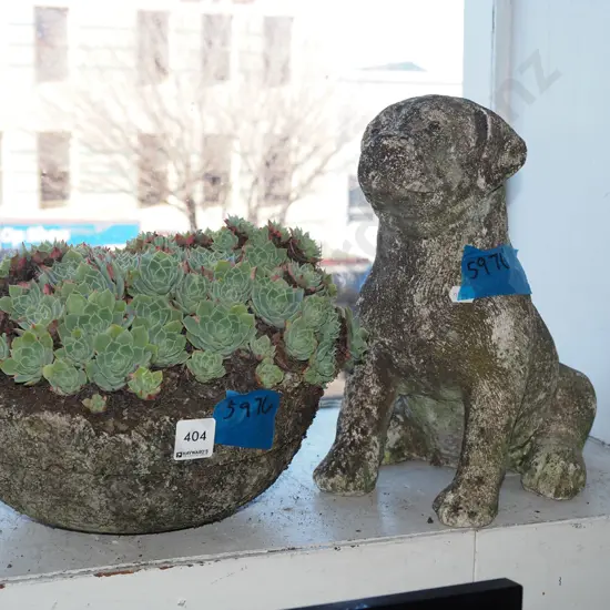 concrete graden dog figurine, planter and succulents Dog H-290