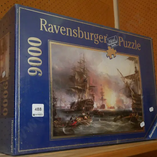 Ravensburger 9000 piece puzzle