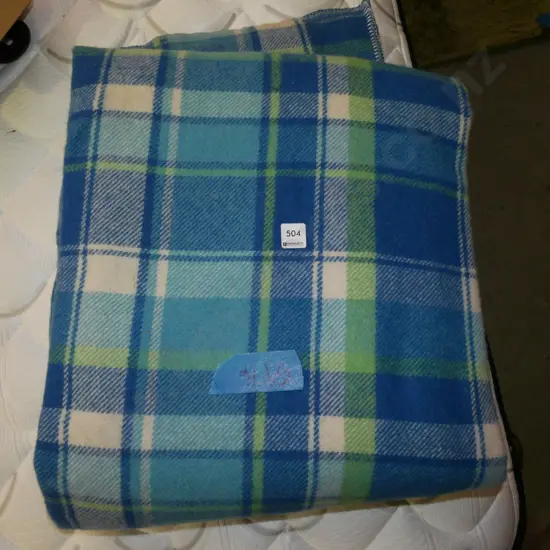 large checked blue rug - stains