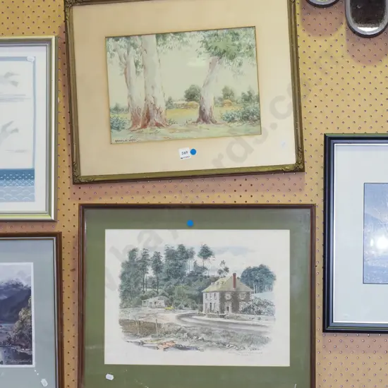 framed watercolour - eucalyptus trees, framed print - Stone Store Kerikeri (extensive foxing) - blue dots