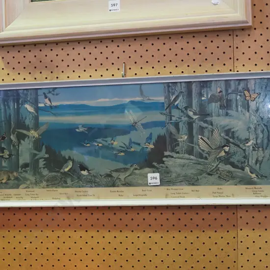 framed print - animals of NZ