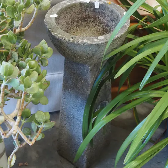 concrete bird bath with paua inset H-550