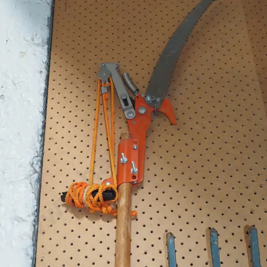 pole pruner