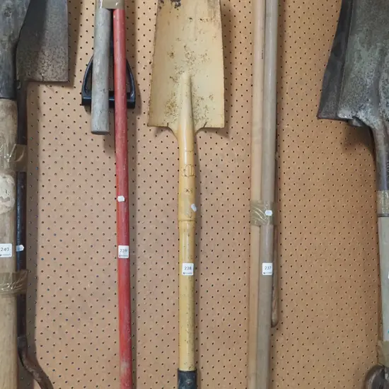 tree spade