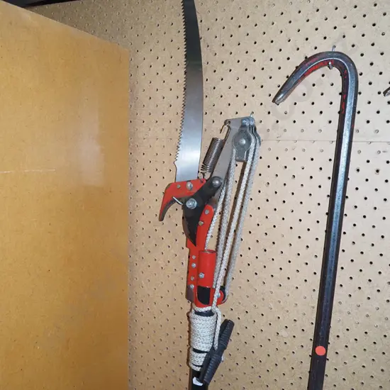 extending pole pruner