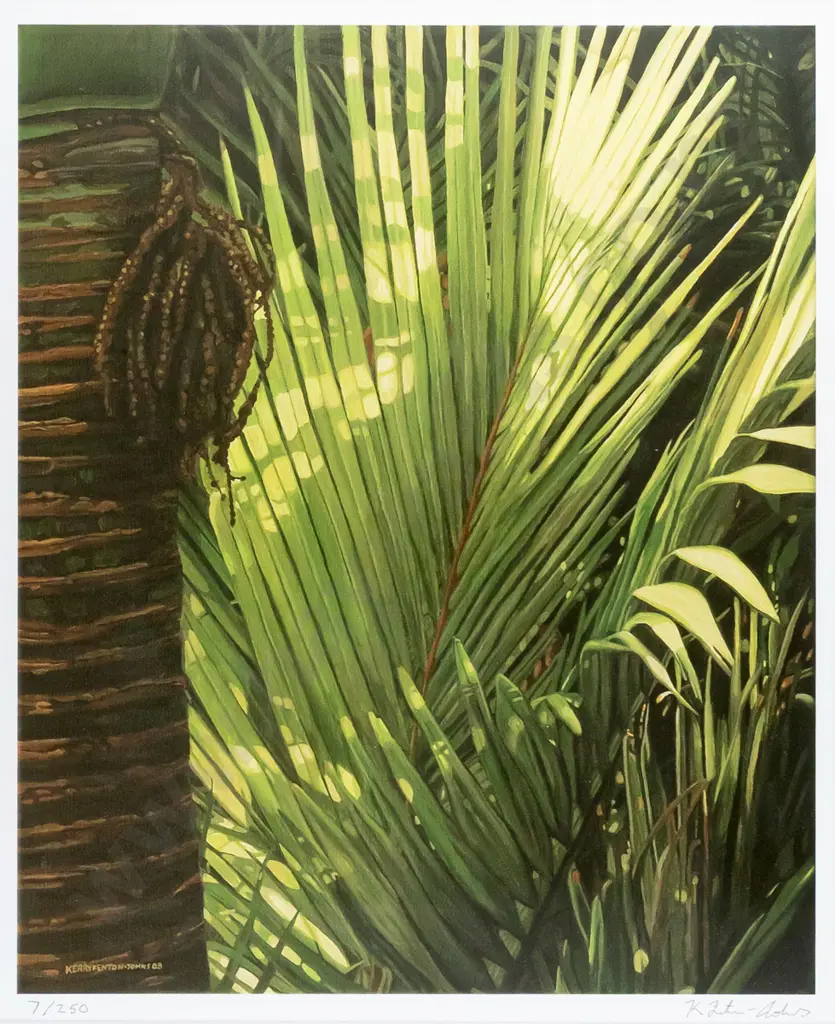 Kerry Fenton-Johns 08 - framed ltd edition print 7/250 - palm fronds H450  W370 Image 1++