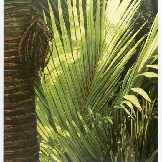 Kerry Fenton-Johns 08 - framed ltd edition print 7/250 - palm fronds H450  W370