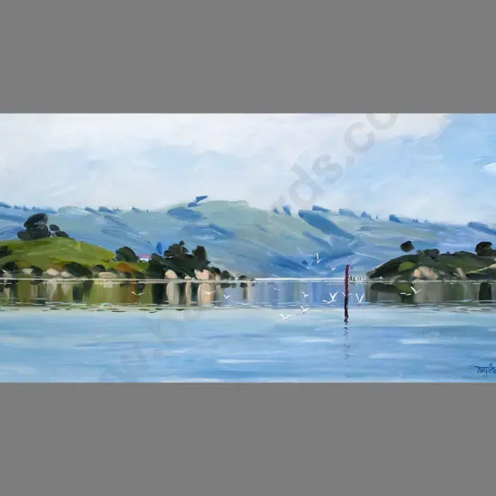 Tony Stanford Shields '09 - oil on board - Otago Harbour, Quaratine Island H450 W1110