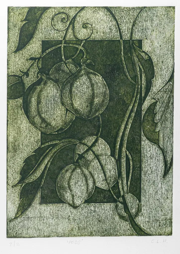 C.L.H - framed etching 2/2 "Pods" H270 W200 Image 1++