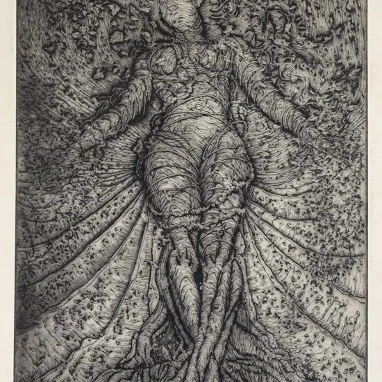 illegible signature - unframed etching 3/30 "SUME" H500 W325