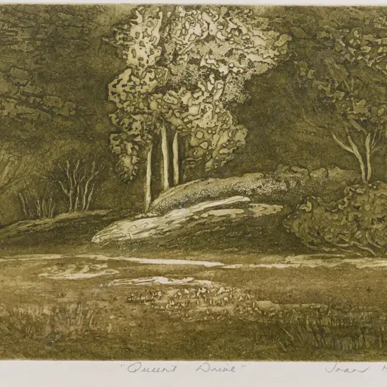 Joan Hardey - framed etching 4/10 "Queens Drive" H160 W240