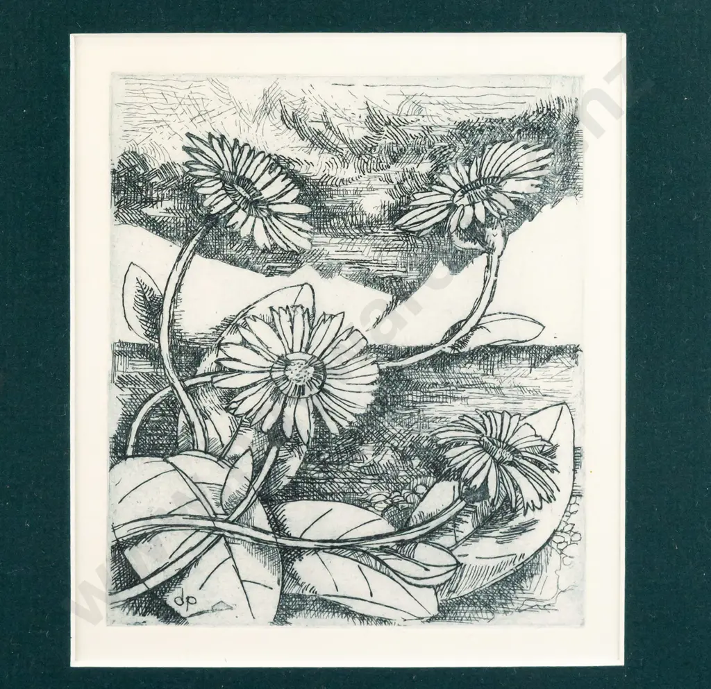 Donald Paterson - framed etching - flowers H125 W110 Image 1++