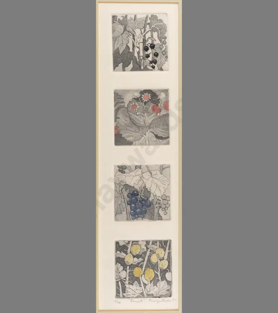 Dykes '87 - framed etchings 5/20 "Fruit" H380 W75 Image 1++