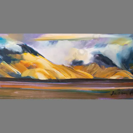 Susan Webb 2011 -  oil on boxed canvas "Maniototo XVII"  H385 W1000