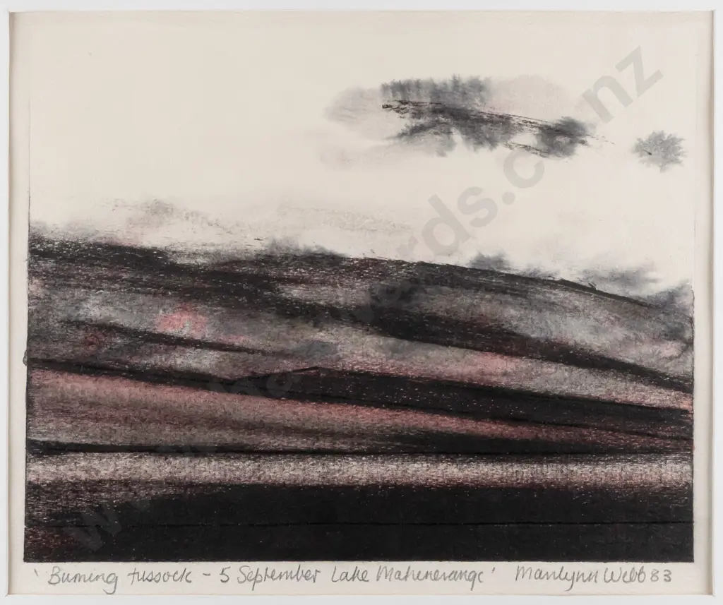 Marilynn Webb '83 - framed watercolour and acrylic "Burning Tussock - 5 September Lake Mahinerangi" H230 W290 Image 1++