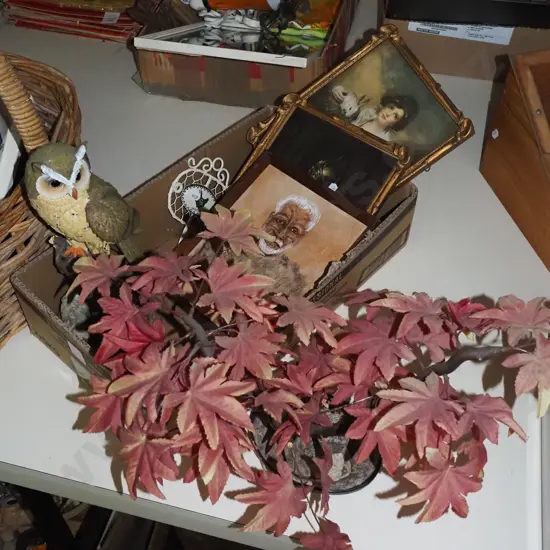 box; small fake bonsai, owl figurine, prints