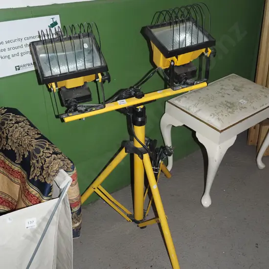 2x halogen lamps on stand