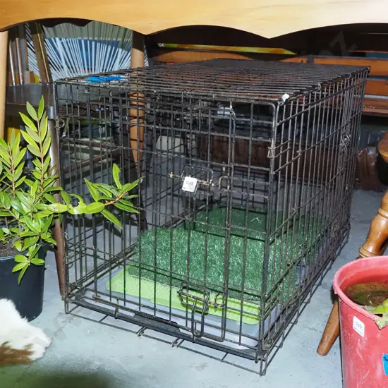 metal pet cage with artificial grass and trays H-540 W-480 D-760