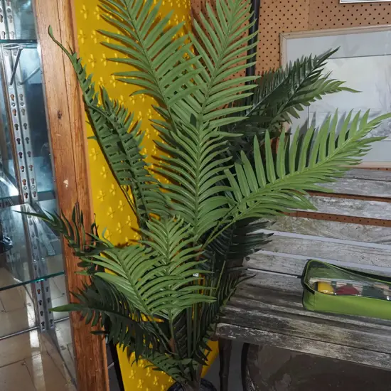 plastic indoor plant