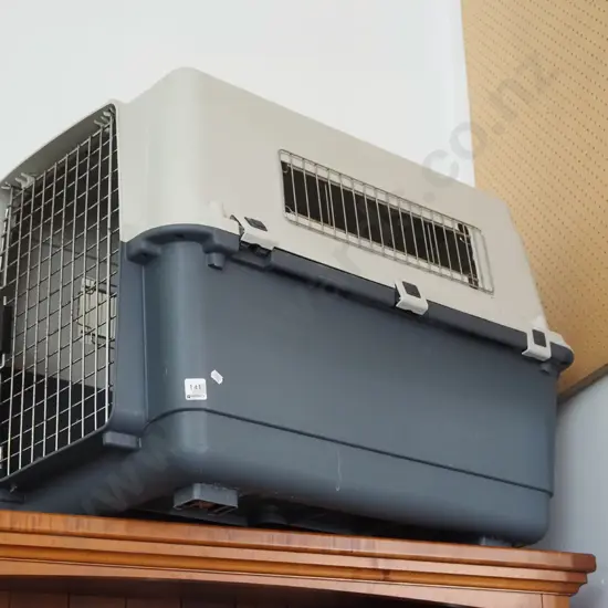 large plastic pet carrier