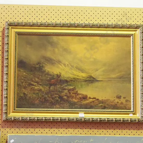 framed print - stag by loch