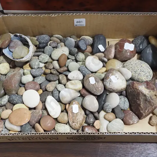 box of polished and unpolished stones
